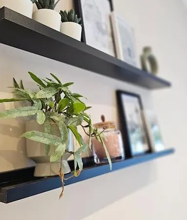 Lejlighed Mint