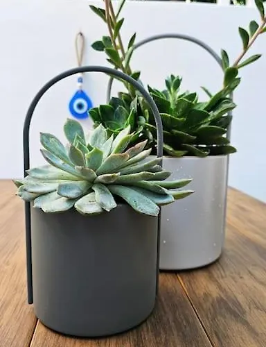 Mint Appartement Rhodes City