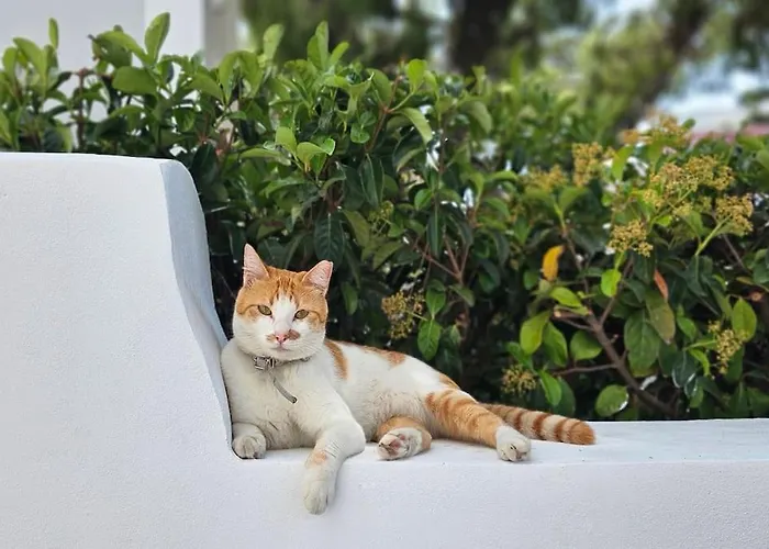 Appartement Mint Rhodes City